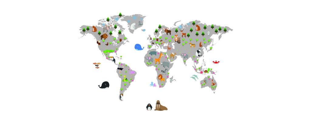 Carte du monde pour les enfants avec fond blanc